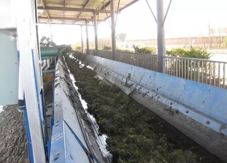 昆明滇池環境治理水生植物處置（zhì）工程